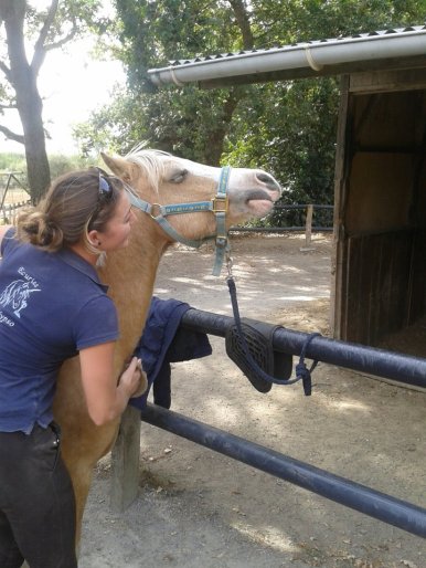 299469_10151156228318431_1191088436_n